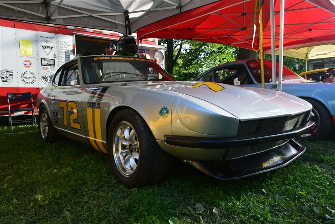 In paddock In paddock