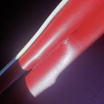 drivers seat drivers seat