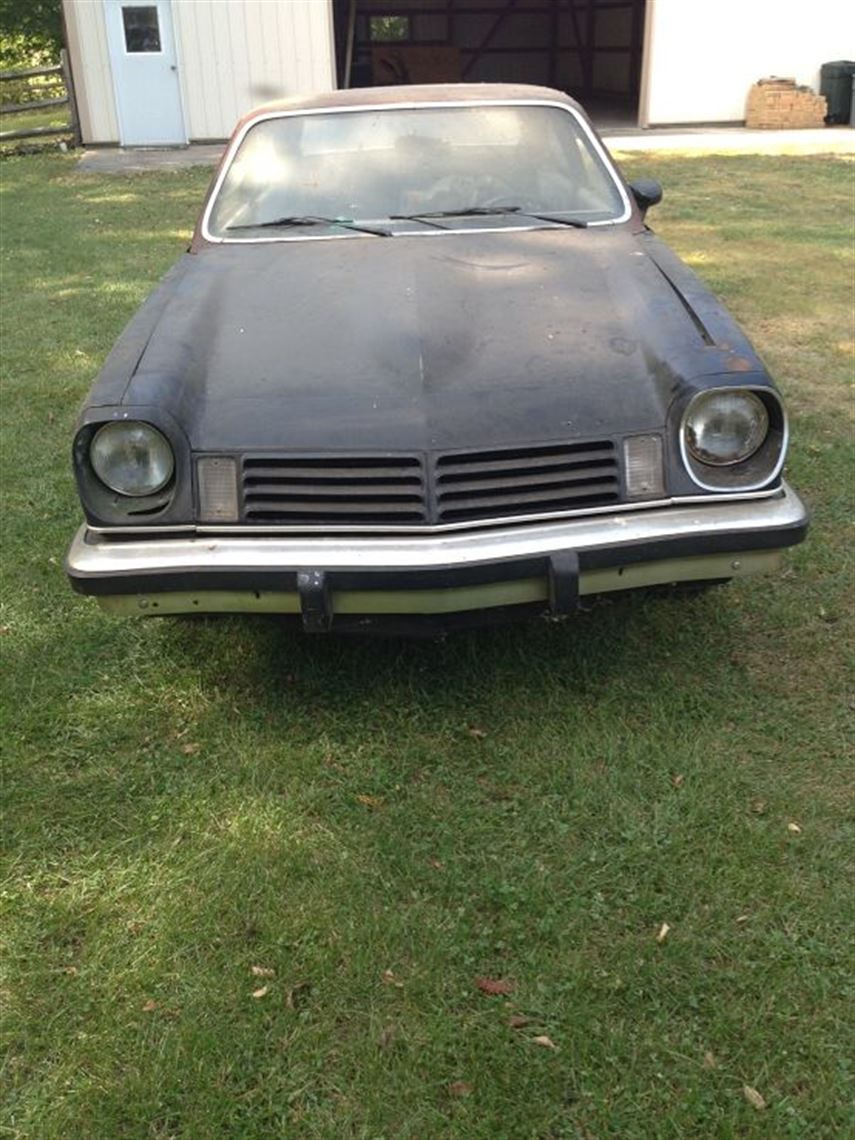 gd bumpers gd bumpers