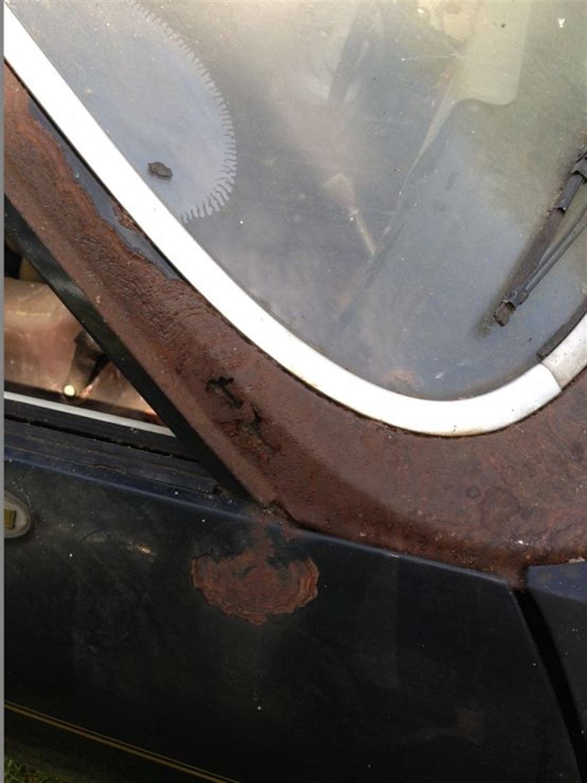 worst spot worst spot