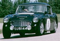 1960-austin-healey-3000-works-competition-car
