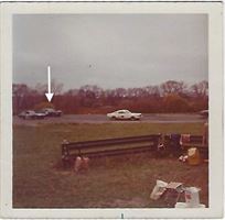 1966-ford-mustang-as-289-notchback