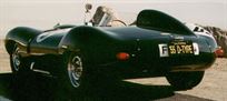 1955-jaguar-d-type-reproduction