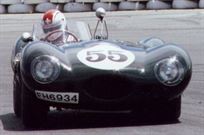 1955-jaguar-d-type-reproduction