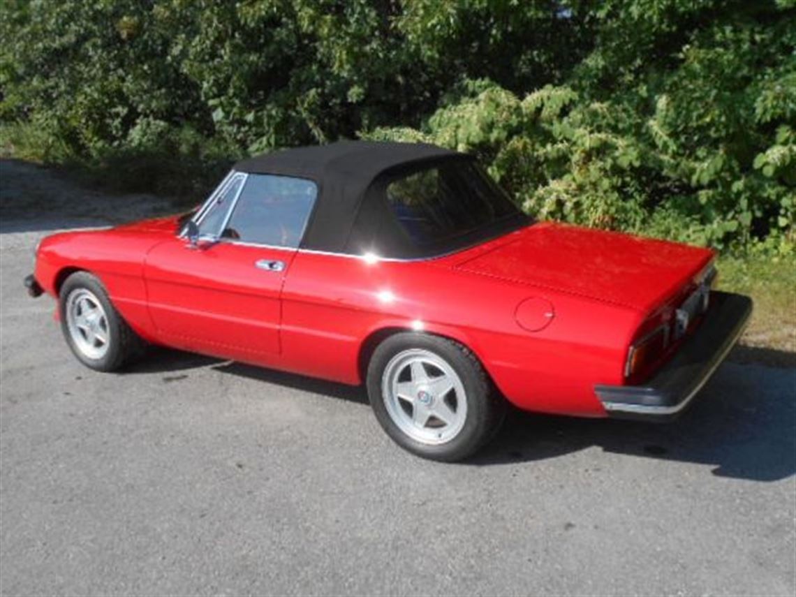 1981-alfa-romeo-alfa-romeo-spider-veloce