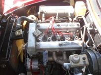 1981-alfa-romeo-alfa-romeo-spider-veloce