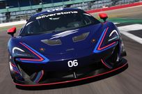 2017-mclaren-570-gt4---charity-auction