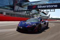 2017-mclaren-570-gt4---charity-auction
